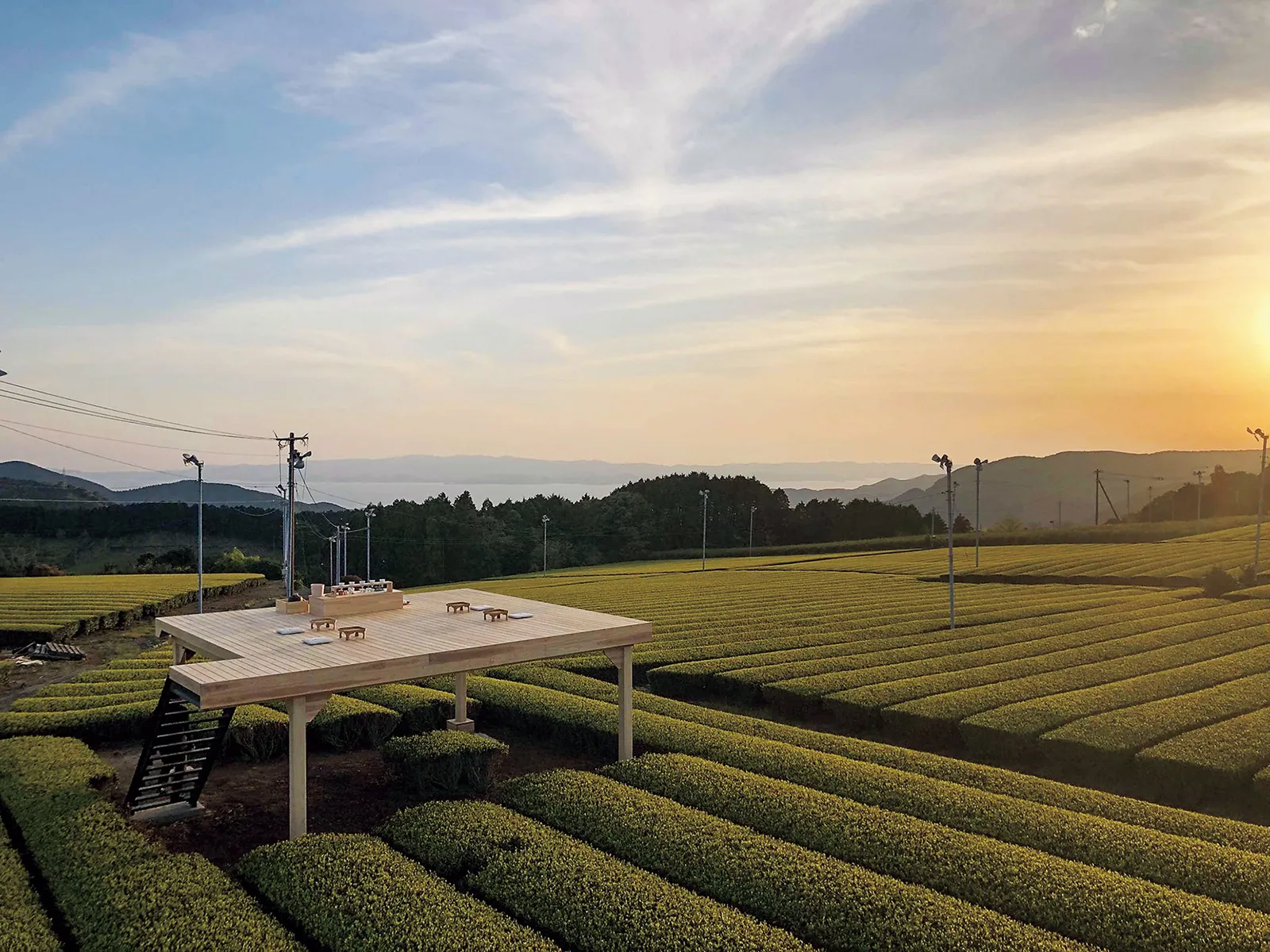 Tea Tourism -Ureshino Tea-
