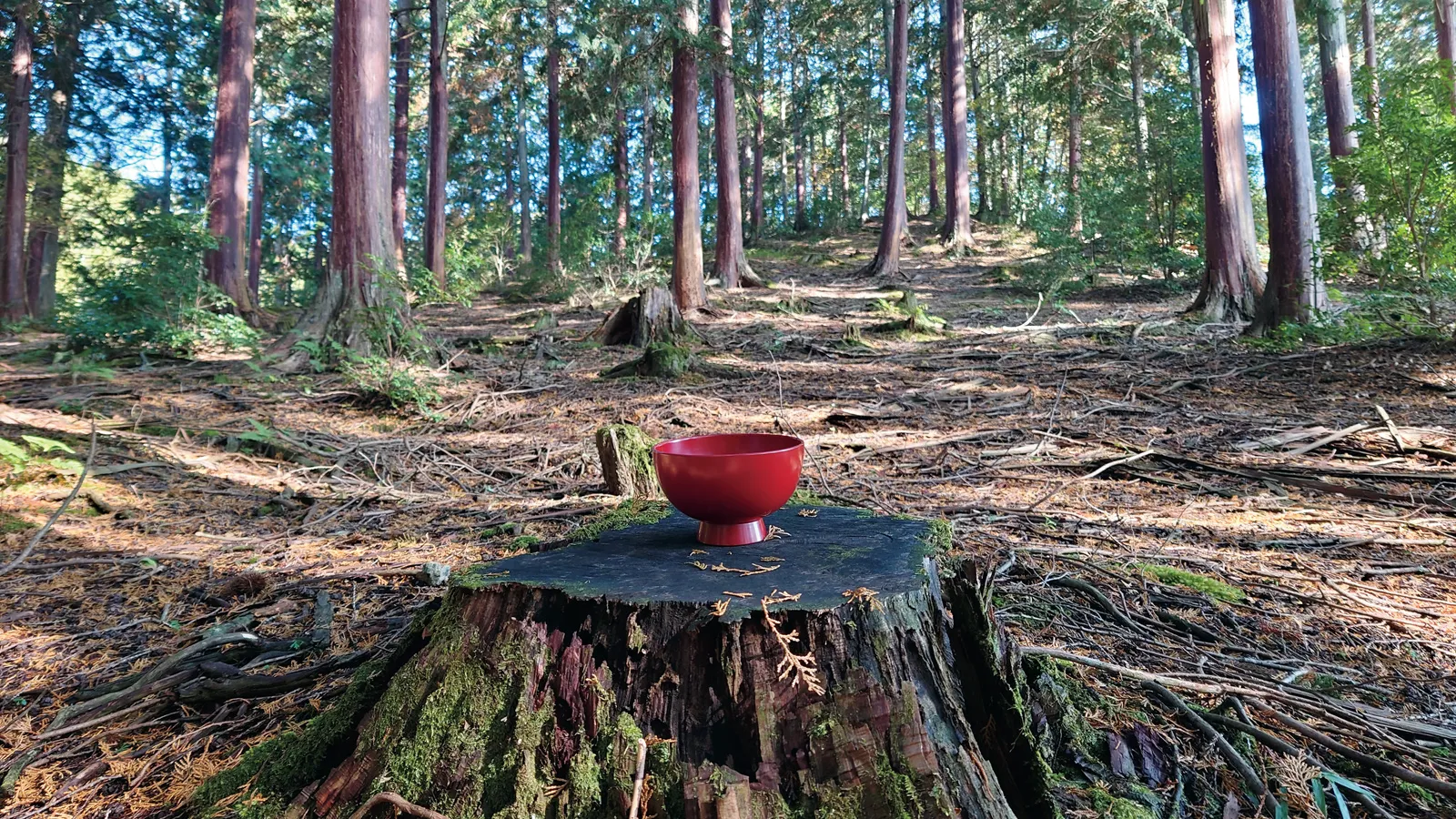 西村圭巧漆工芸